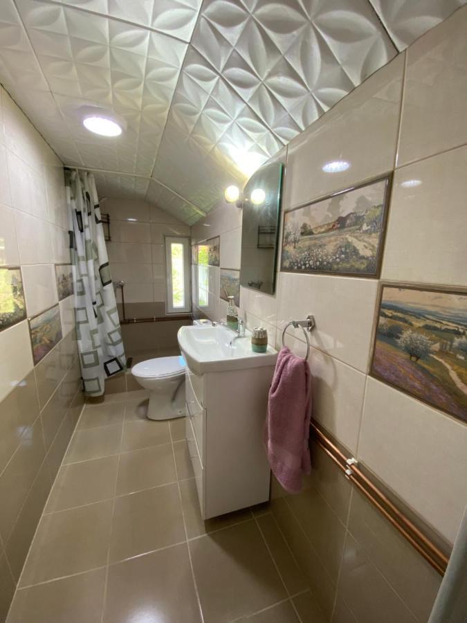 Hotel Micul Popas à Novaci-Străini Extérieur photo