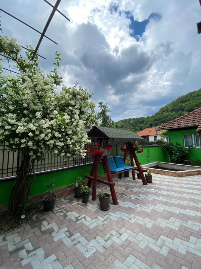 Hotel Micul Popas à Novaci-Străini Extérieur photo