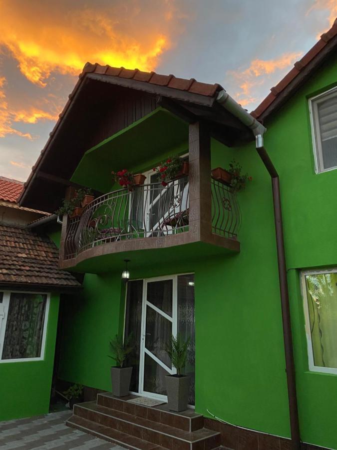 Hotel Micul Popas à Novaci-Străini Extérieur photo